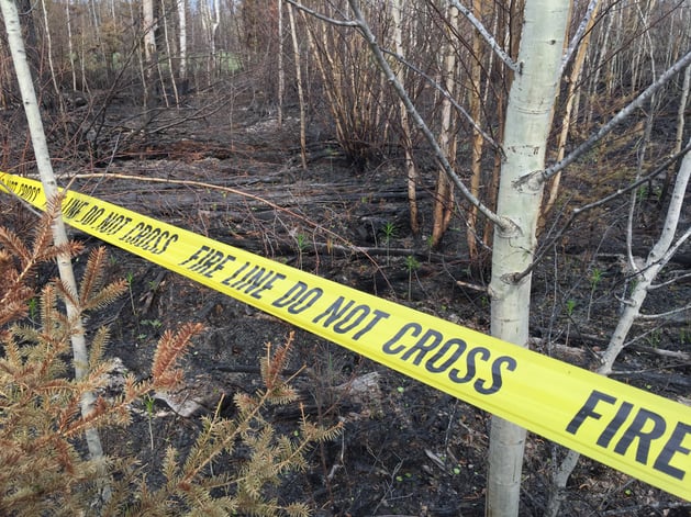 Fire line yellow barrier tape for wildfire investigation.