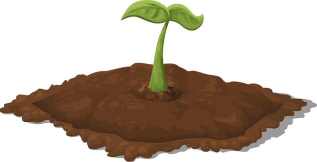 Soil salinity