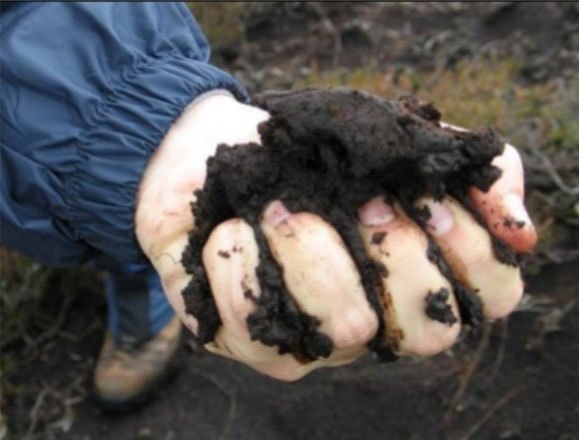 Soil