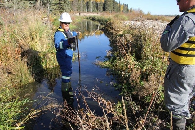 field_visit_regulator_hydrocarbons_sediment