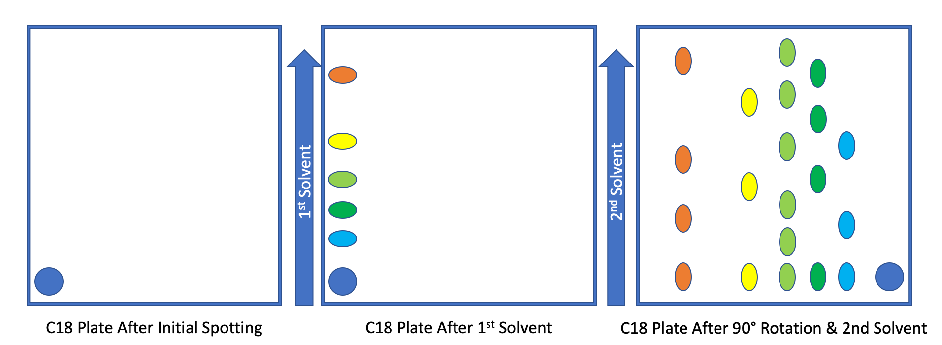 2D-Thin Layer Chromatography schematic